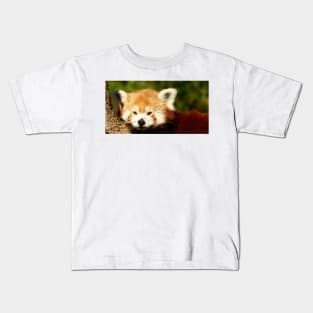 Red Panda fox Kids T-Shirt